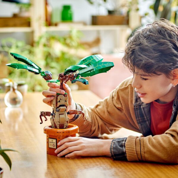 Lego 76433 Harry Potter Mandragora - Afbeelding 4